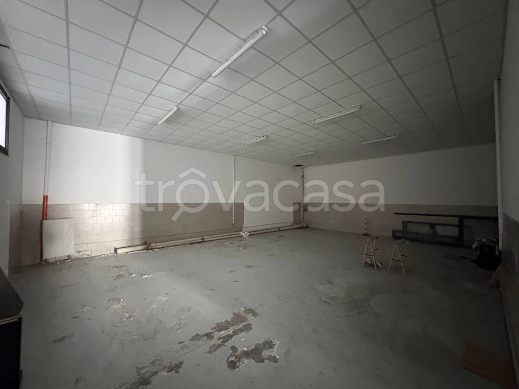 immagine annuncio 13 di 14