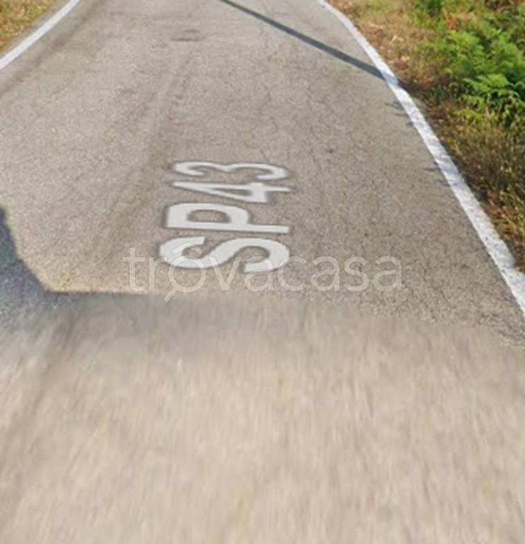 immagine annuncio 2 di 11
