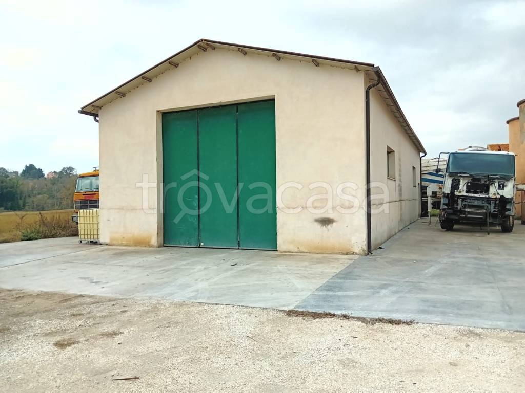 immagine annuncio 1 di 2