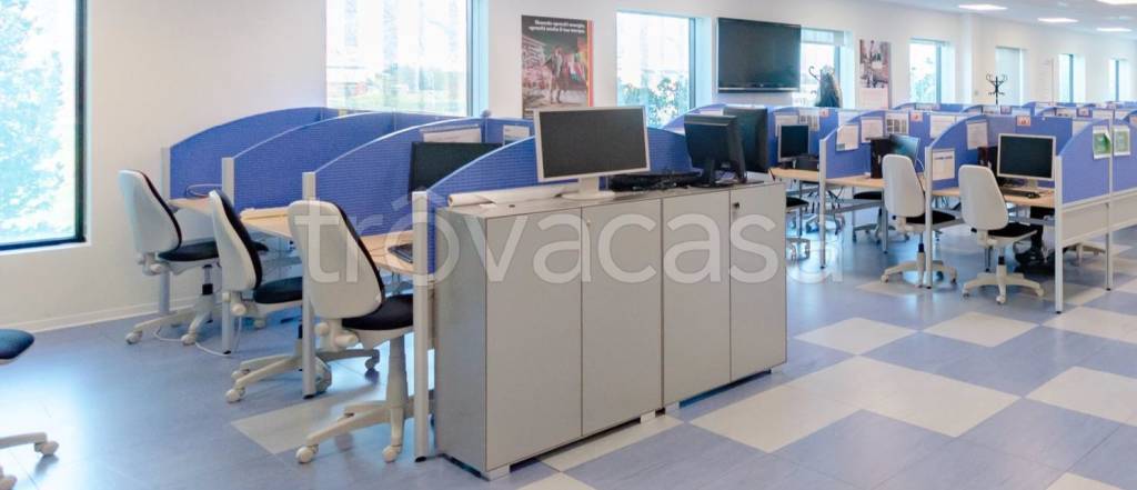 immagine annuncio 6 di 11