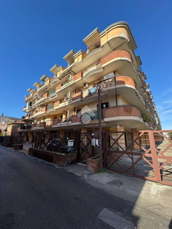 immagine annuncio 12 di 13