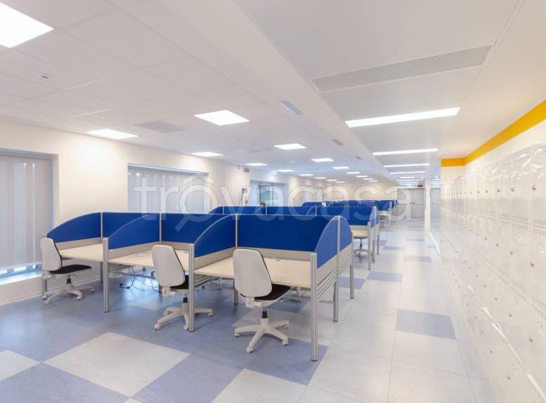 immagine annuncio 9 di 11