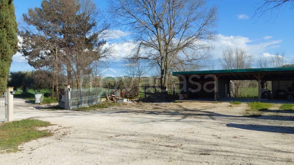 immagine annuncio 8 di 9