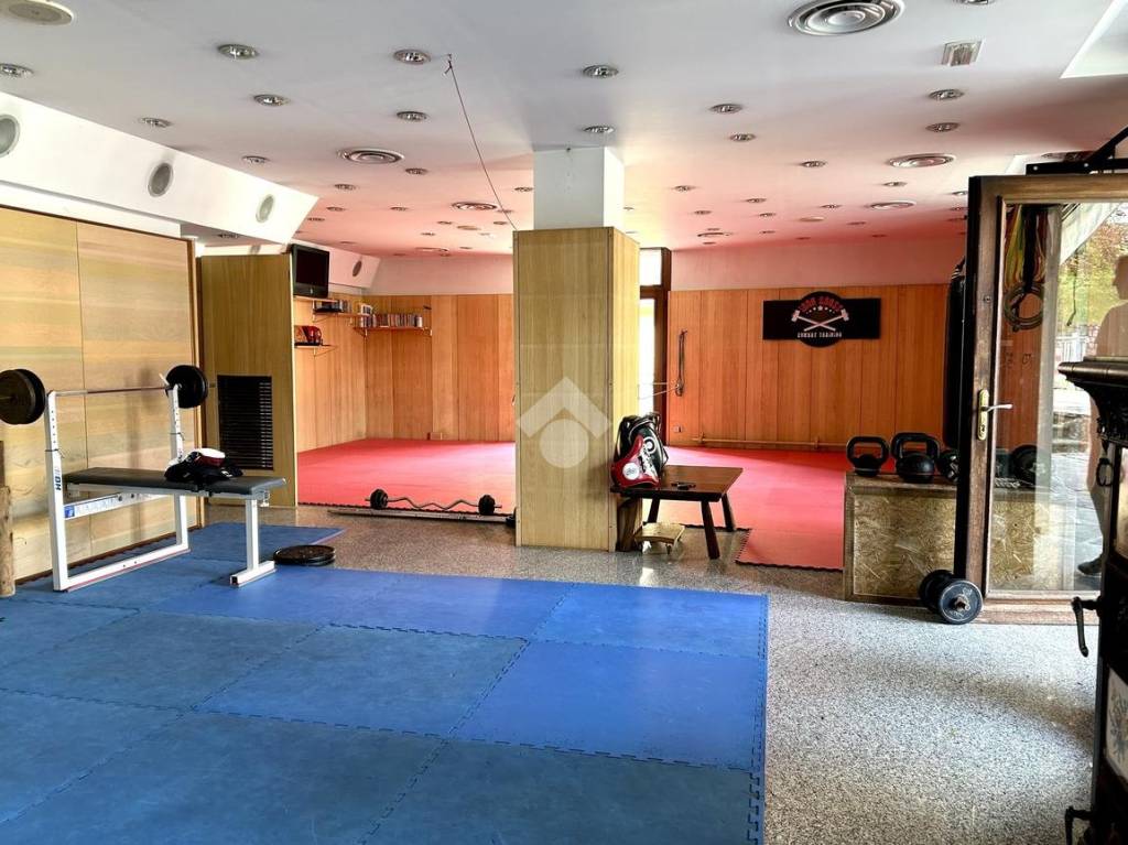 immagine annuncio 4 di 15