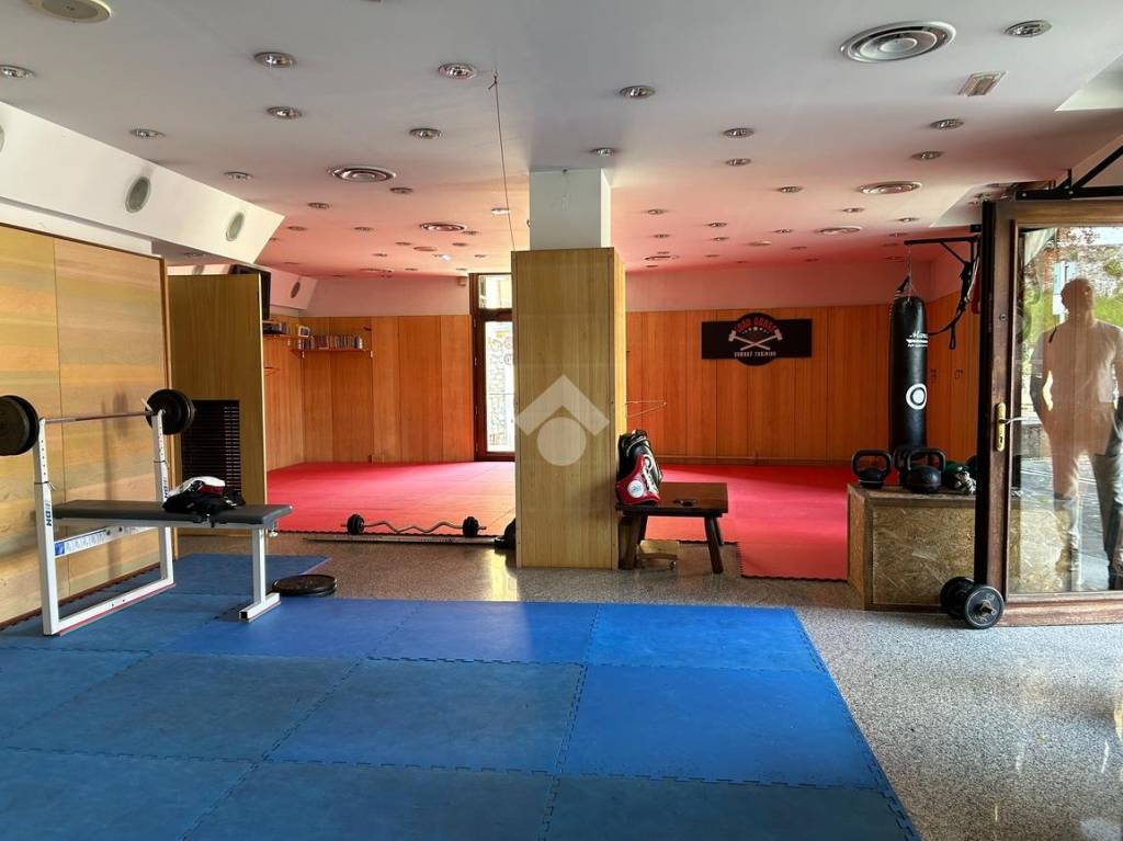 immagine annuncio 14 di 15