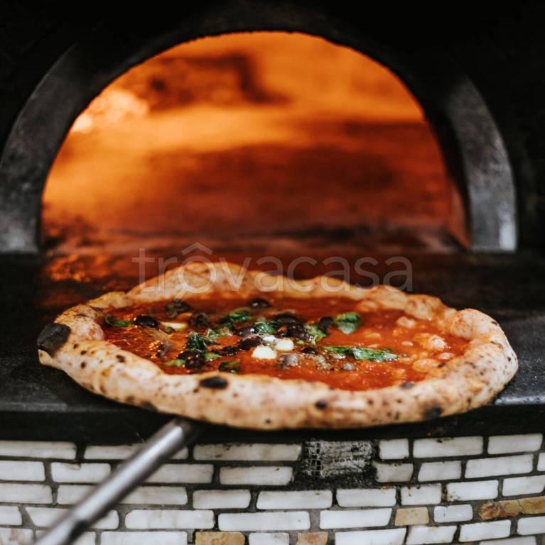 immagine annuncio 6 di 11