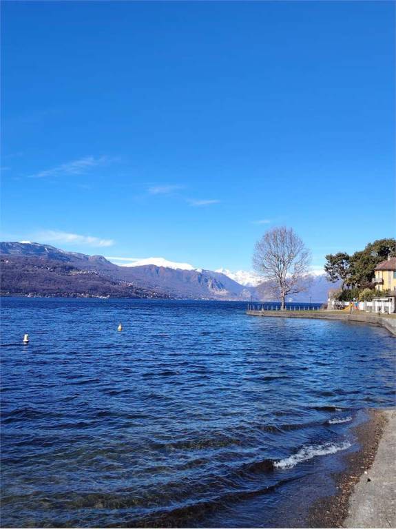immagine annuncio 10 di 11