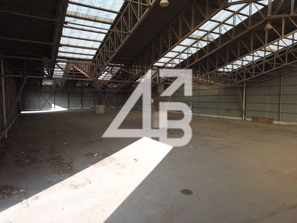 immagine annuncio 5 di 14