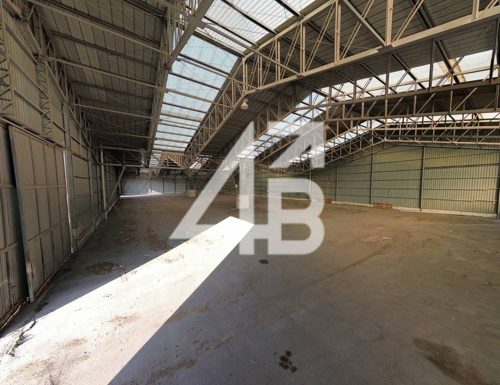 immagine annuncio 4 di 14