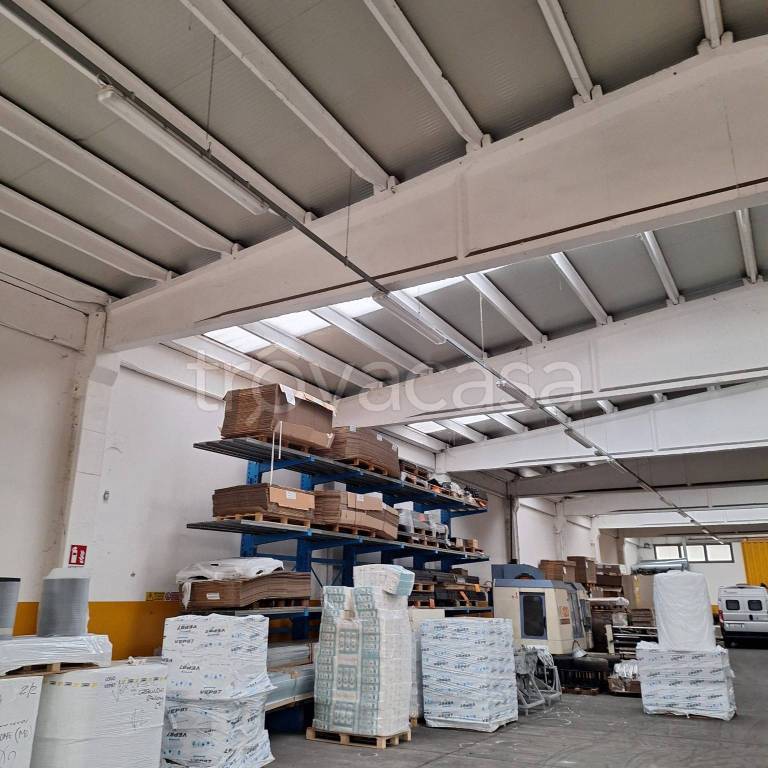 immagine annuncio 3 di 7