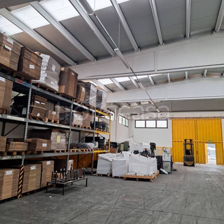 immagine annuncio 4 di 7