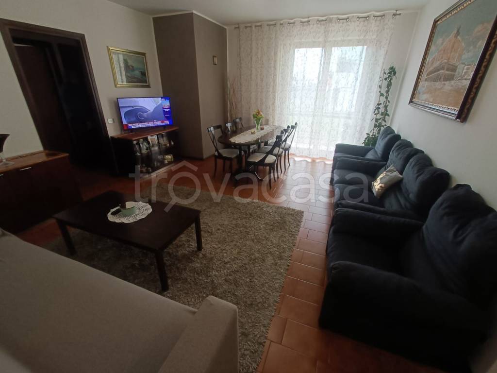 immagine annuncio 4 di 14