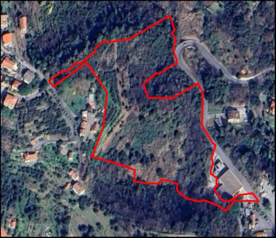 immagine annuncio 10 di 12