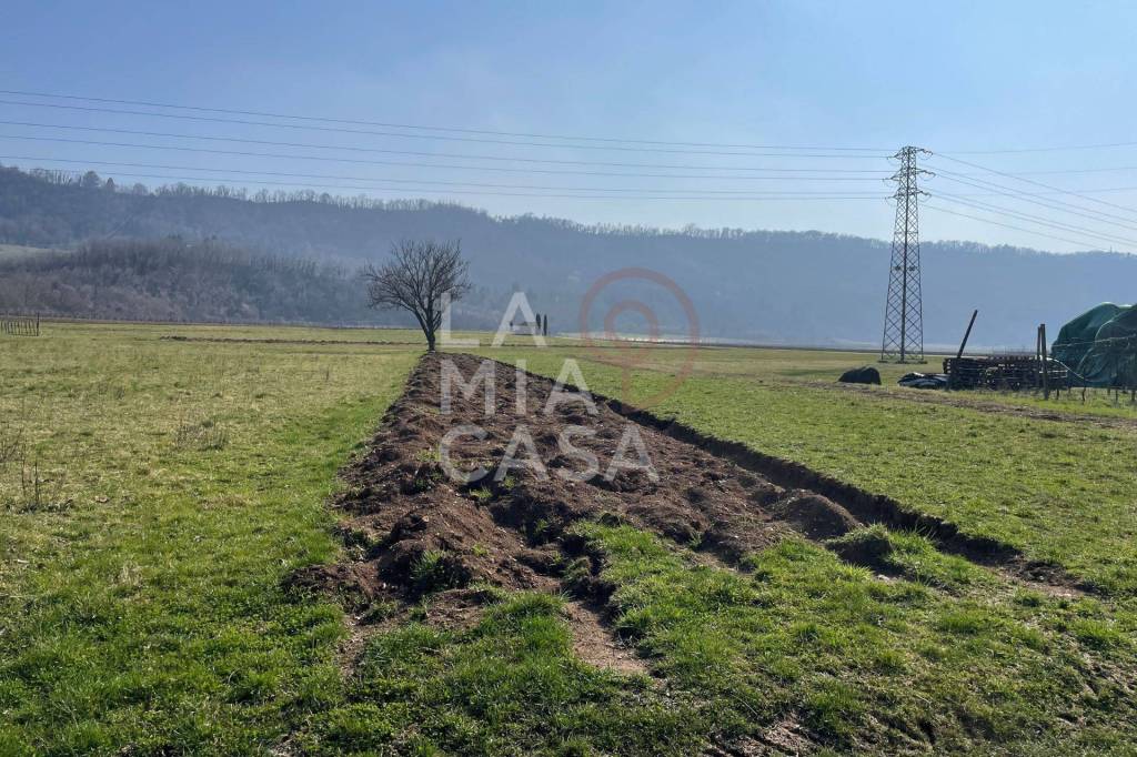 immagine annuncio 1 di 13