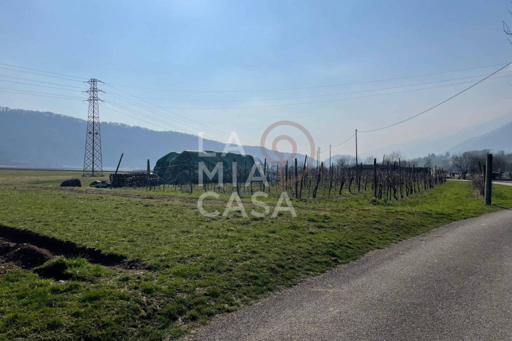 immagine annuncio 2 di 13