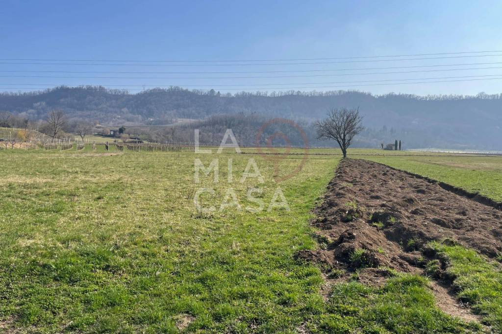 immagine annuncio 3 di 13