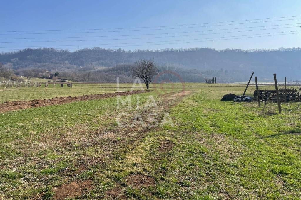 immagine annuncio 6 di 13