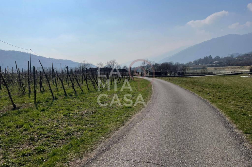 immagine annuncio 7 di 13