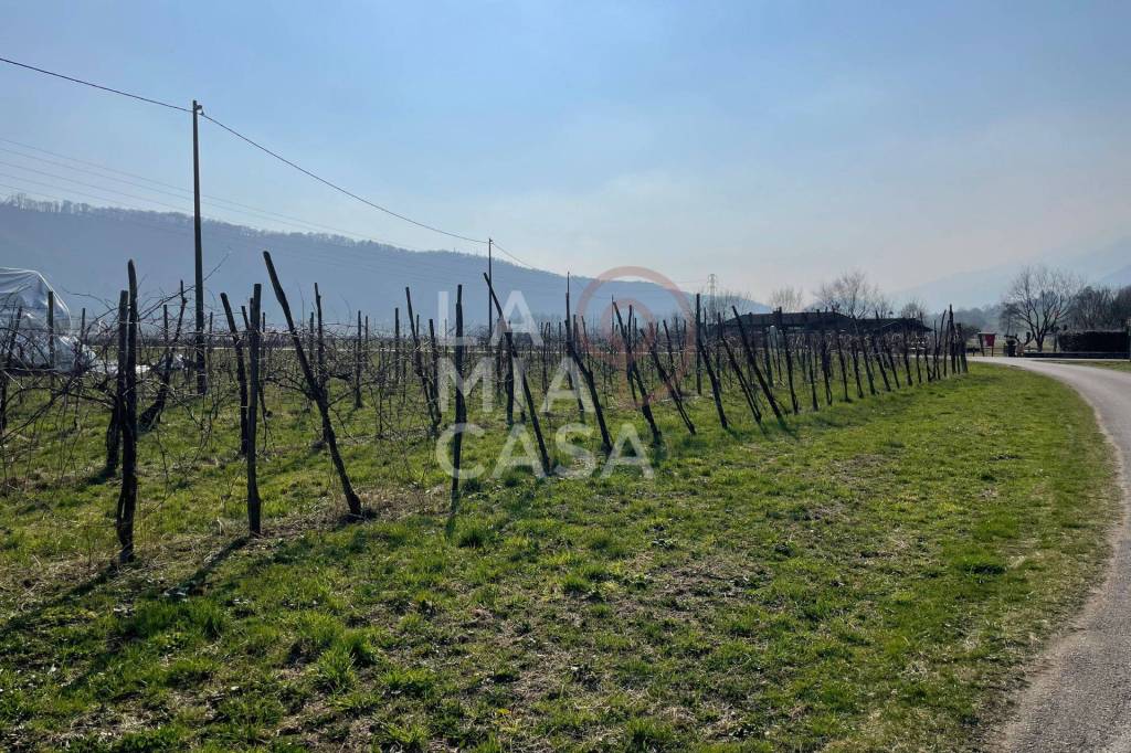 immagine annuncio 10 di 13