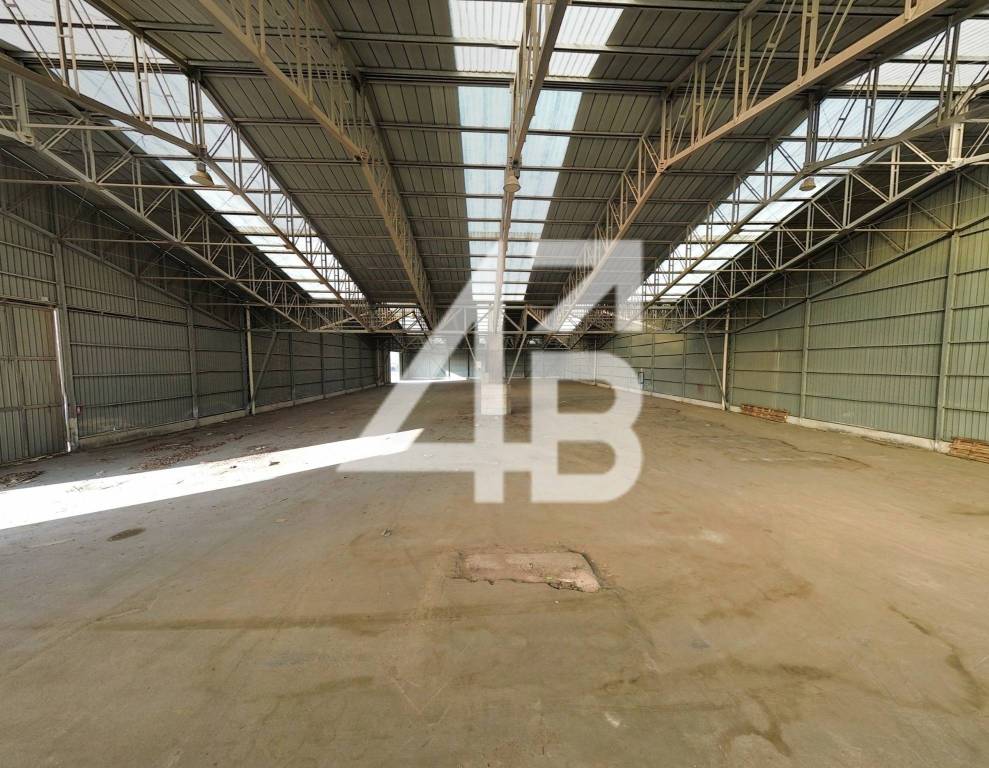 immagine annuncio 6 di 14