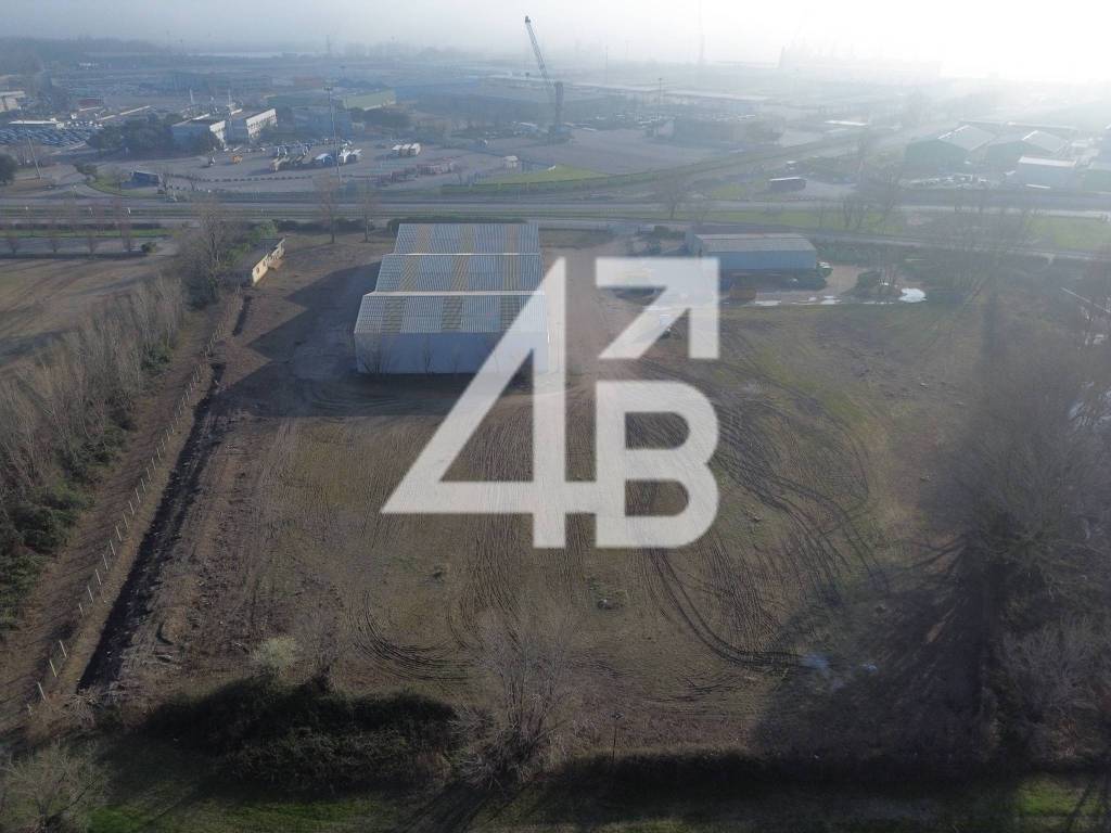 immagine annuncio 10 di 14