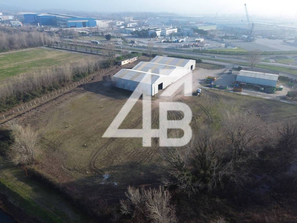 immagine annuncio 11 di 14