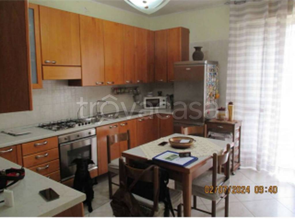 immagine annuncio 3 di 11