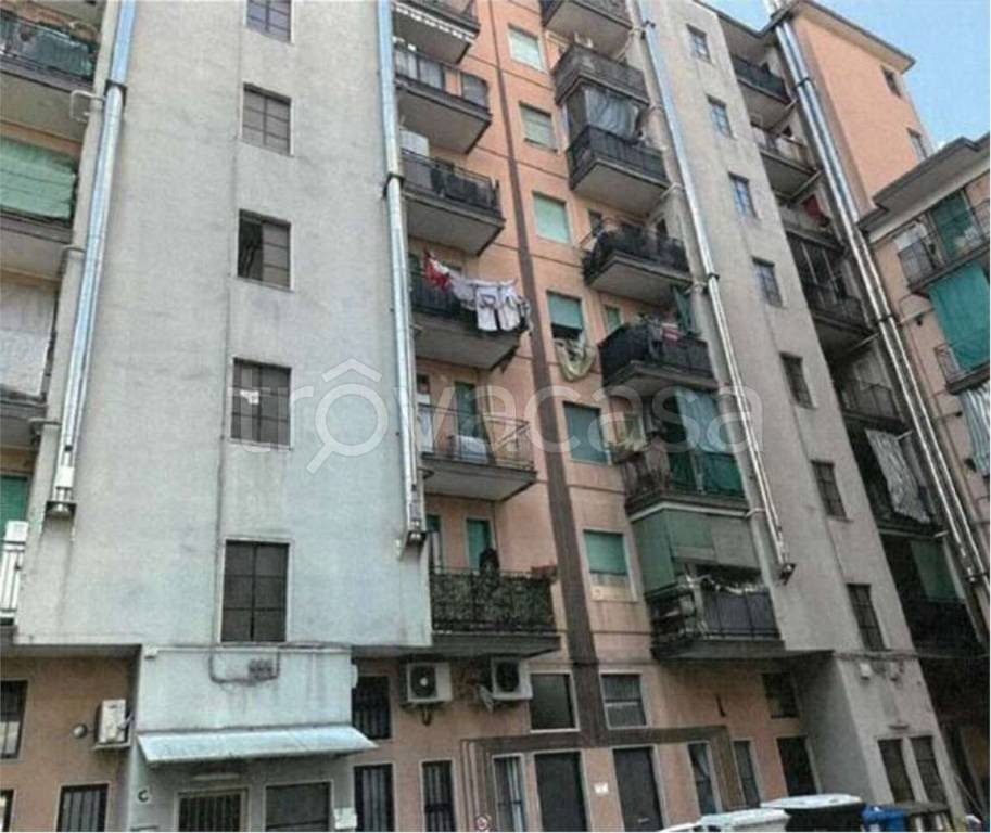 immagine annuncio 3 di 14