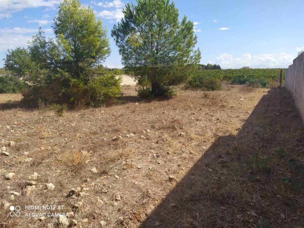 immagine annuncio 3 di 6