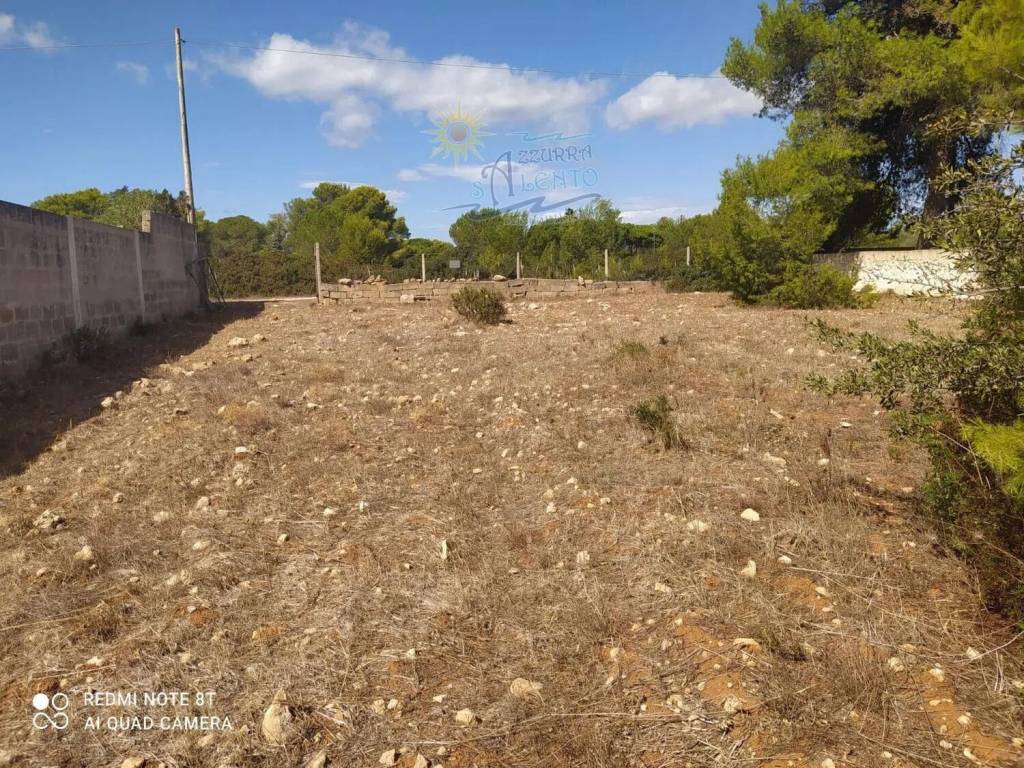 immagine annuncio 4 di 6