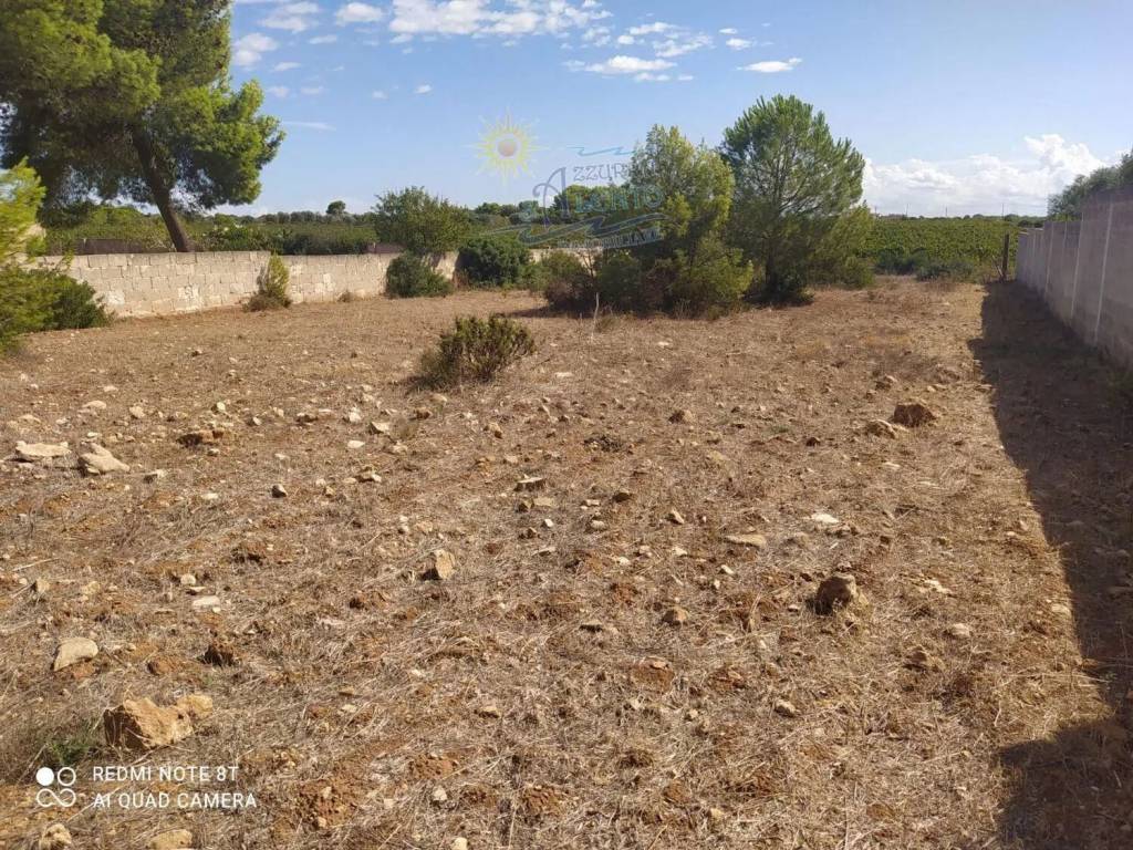 immagine annuncio 5 di 6