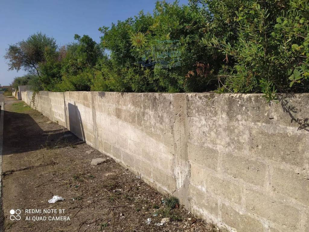 immagine annuncio 2 di 8