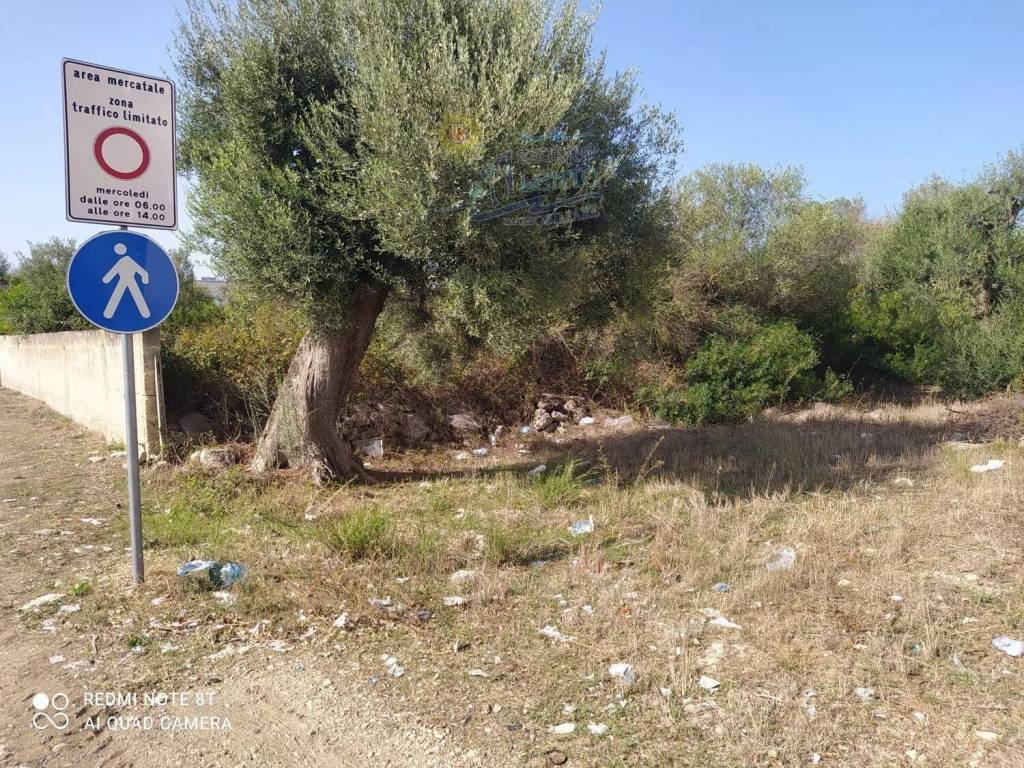 immagine annuncio 4 di 8