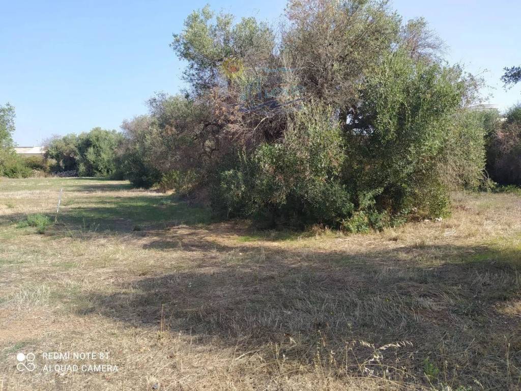 immagine annuncio 5 di 8