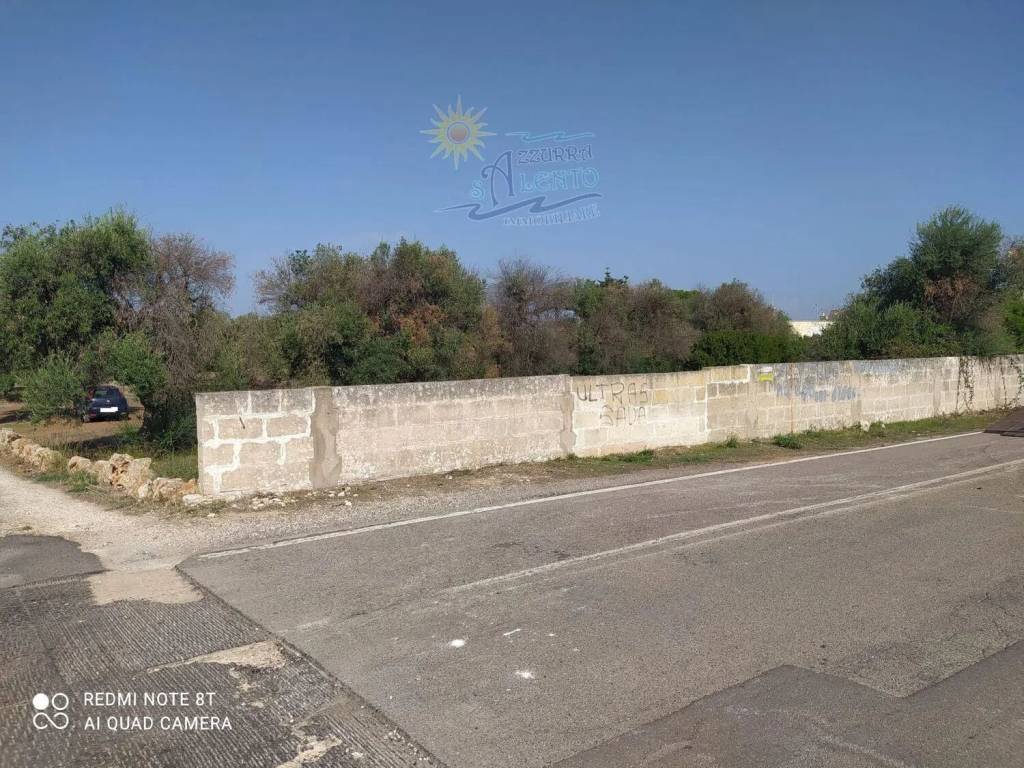 immagine annuncio 7 di 8