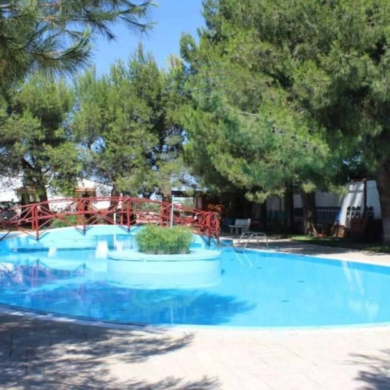 immagine annuncio 3 di 11