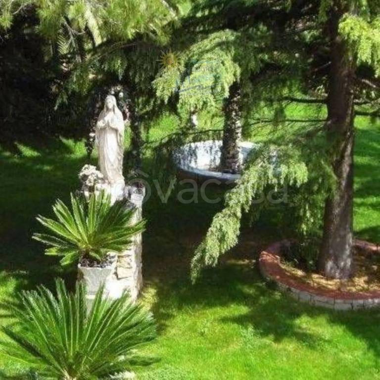 immagine annuncio 7 di 11