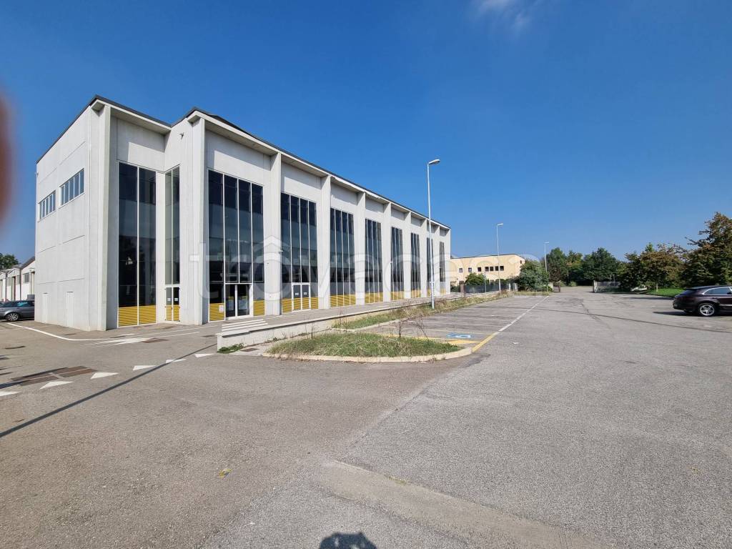 immagine annuncio 2 di 11