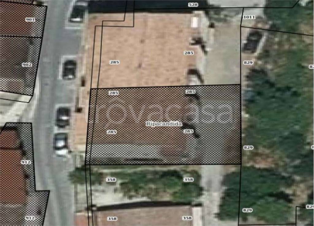 immagine annuncio 1 di 12