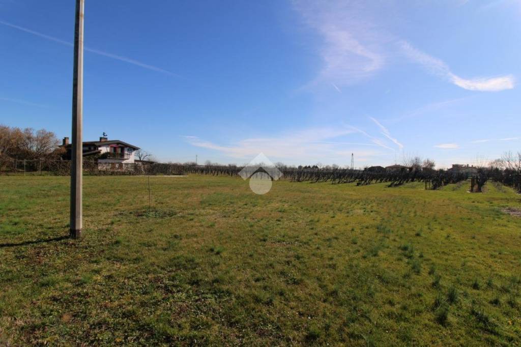 immagine annuncio 3 di 6