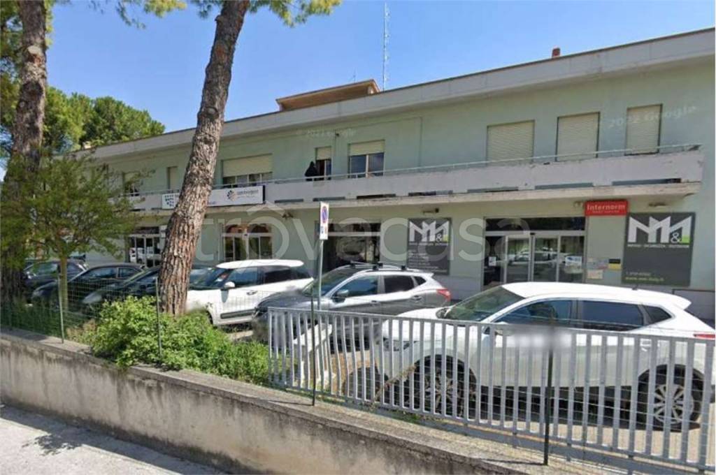 immagine annuncio 3 di 11