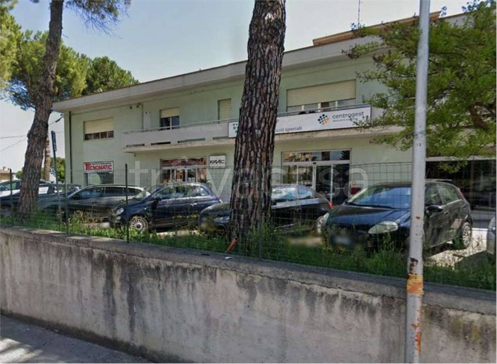 immagine annuncio 4 di 11