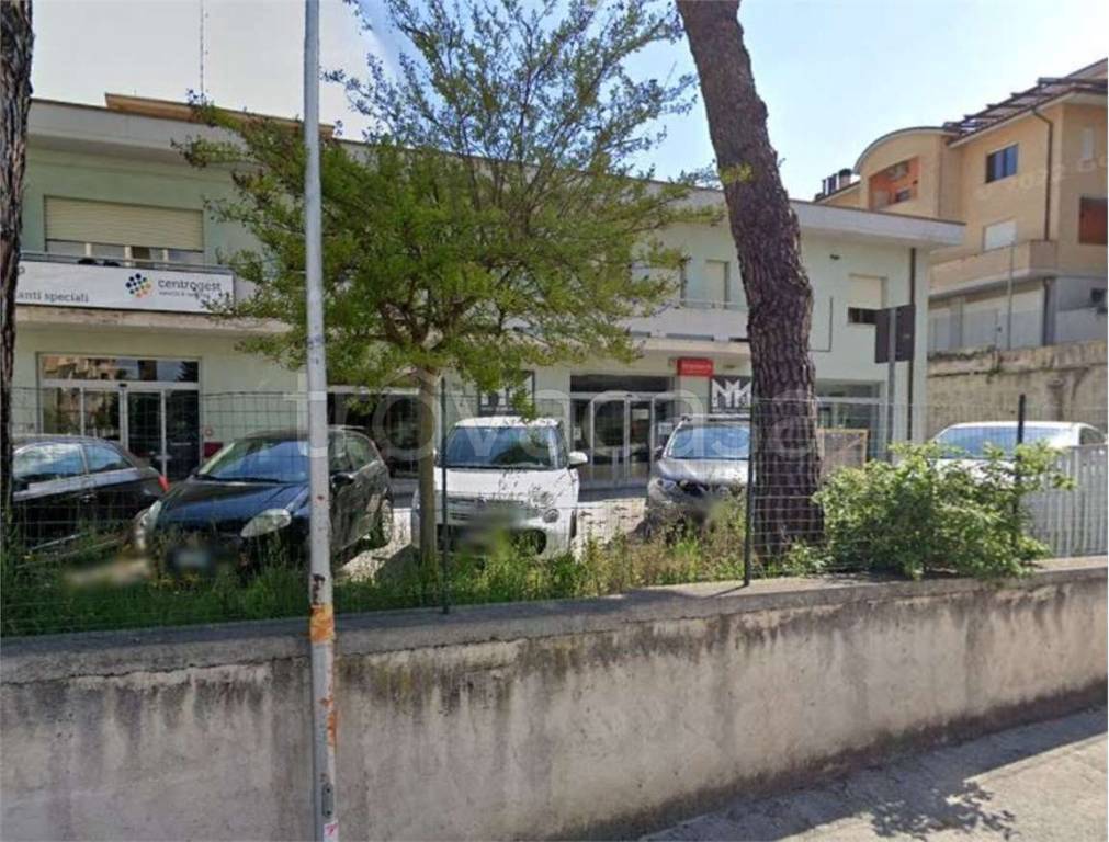 immagine annuncio 5 di 11