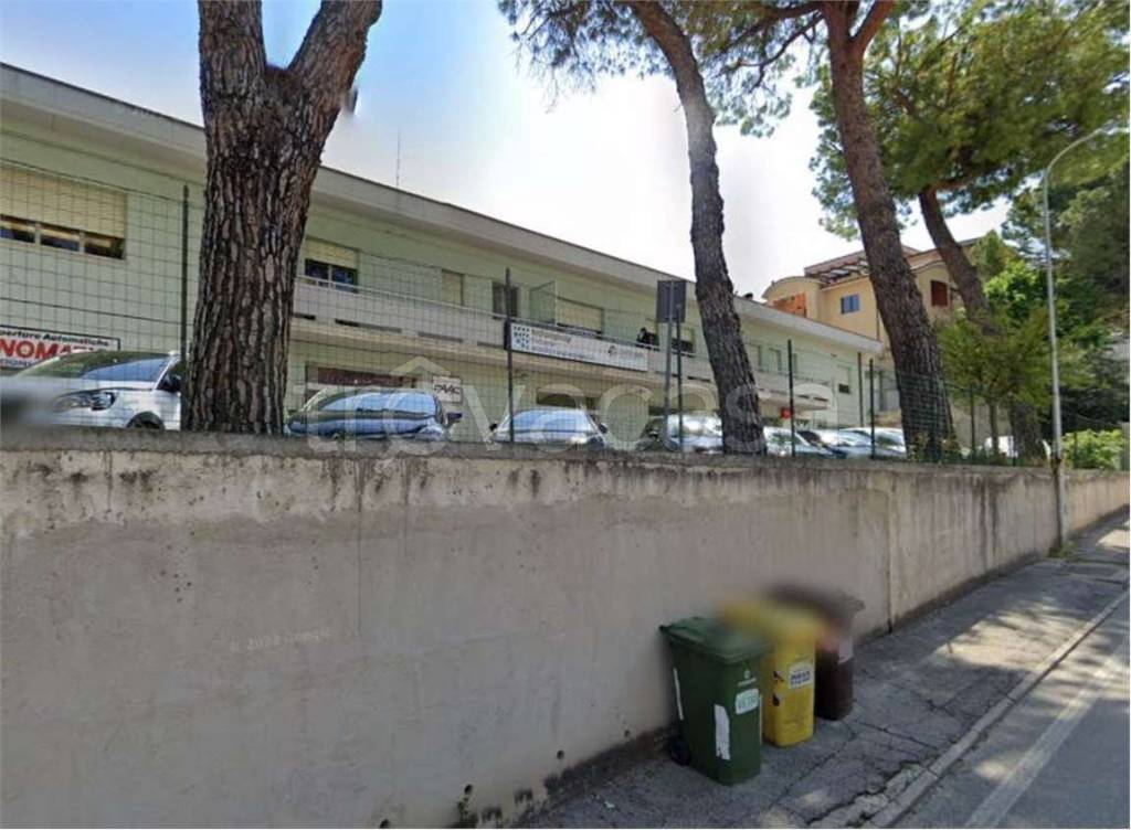 immagine annuncio 6 di 11