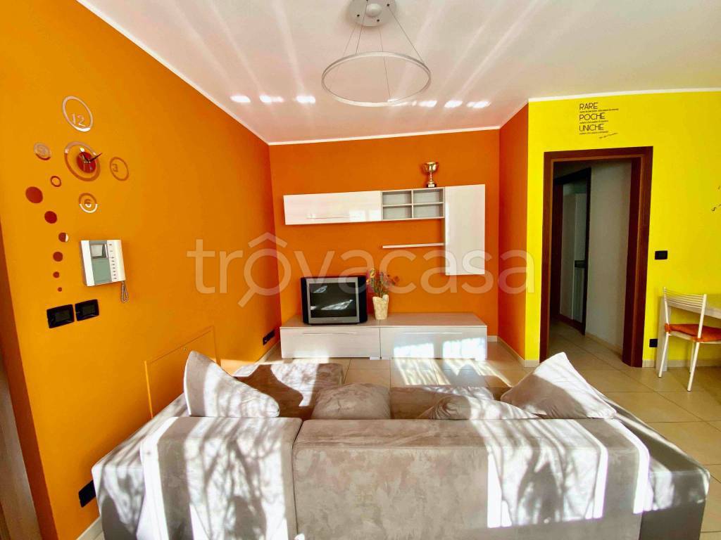 immagine annuncio 2 di 12