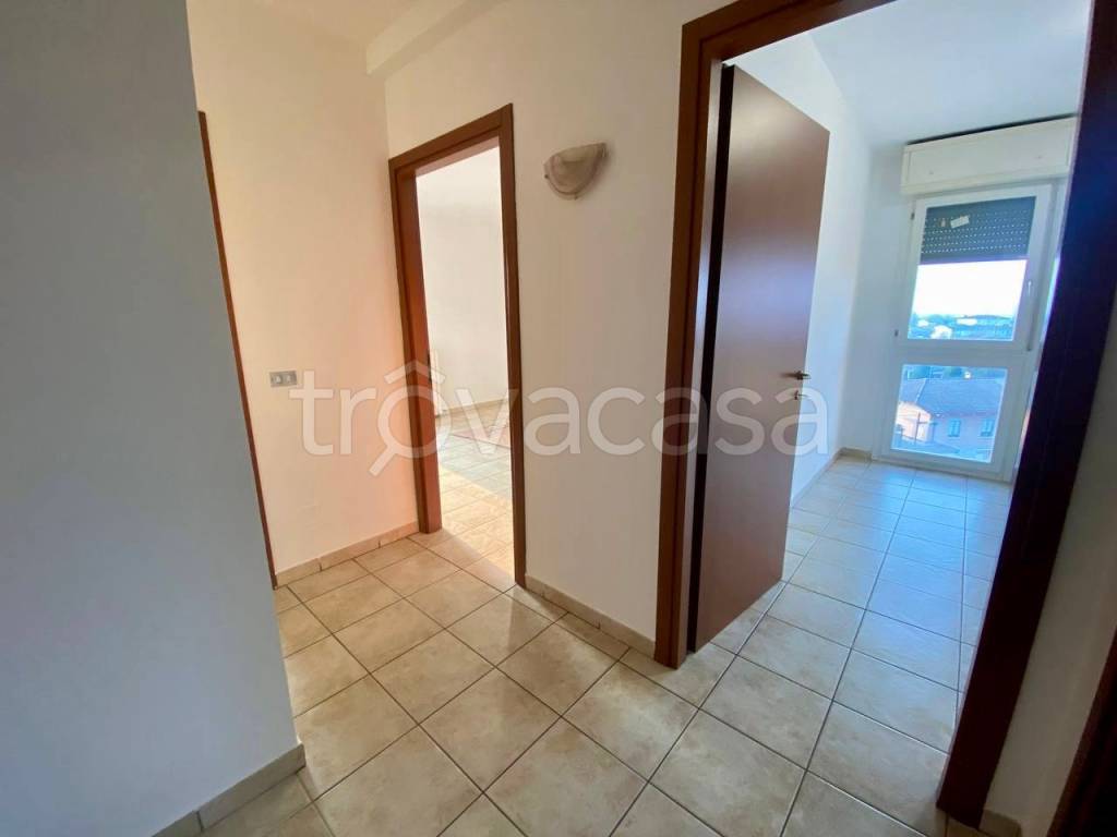 immagine annuncio 8 di 14