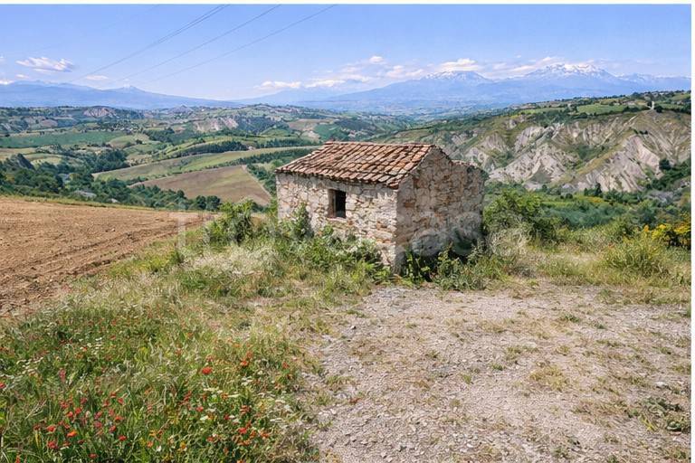 immagine annuncio 4 di 7