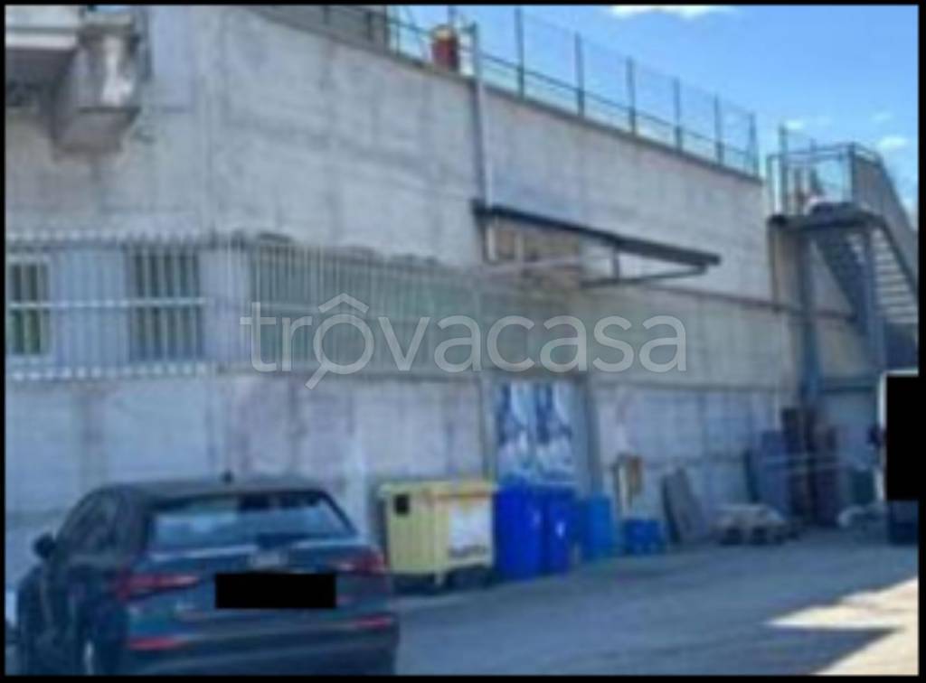 immagine annuncio 2 di 12