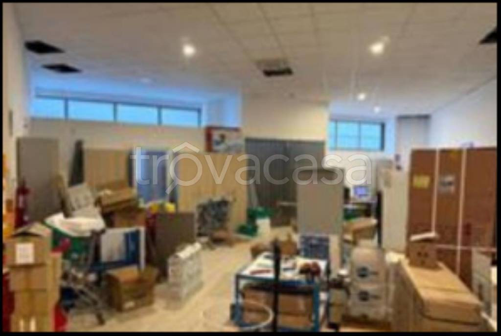 immagine annuncio 3 di 12