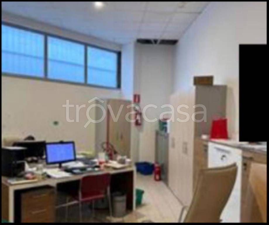 immagine annuncio 5 di 12